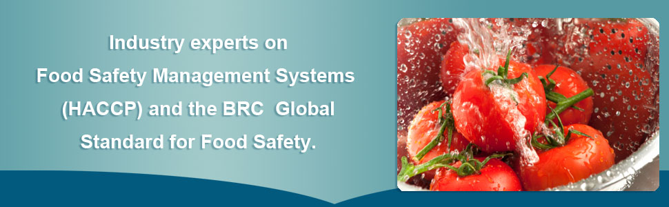 Food Safety Solutions